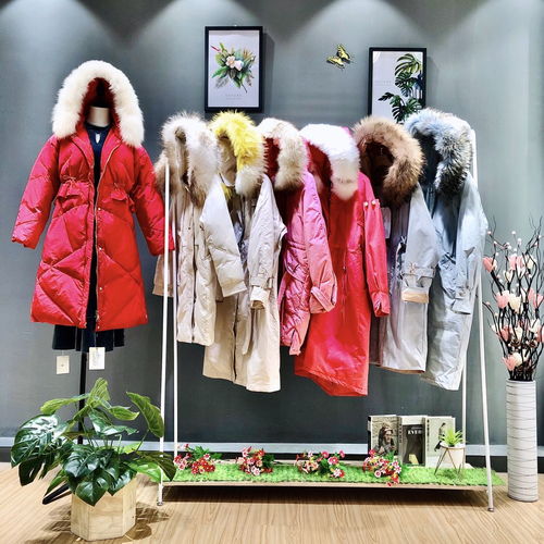 冬季輕奢風(fēng)尚 西樹(shù)影黛皮草羽絨服——專(zhuān)柜品質(zhì)與品牌折扣的完美融合