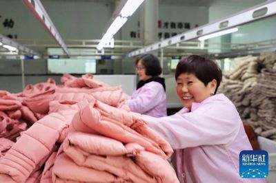 河南范縣 羽絨及制品產(chǎn)銷(xiāo)兩旺，工人干勁十足